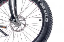 Elektryczny FattyBike 