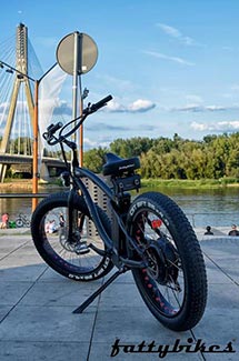 Fattybikes.com e-Cruiser
